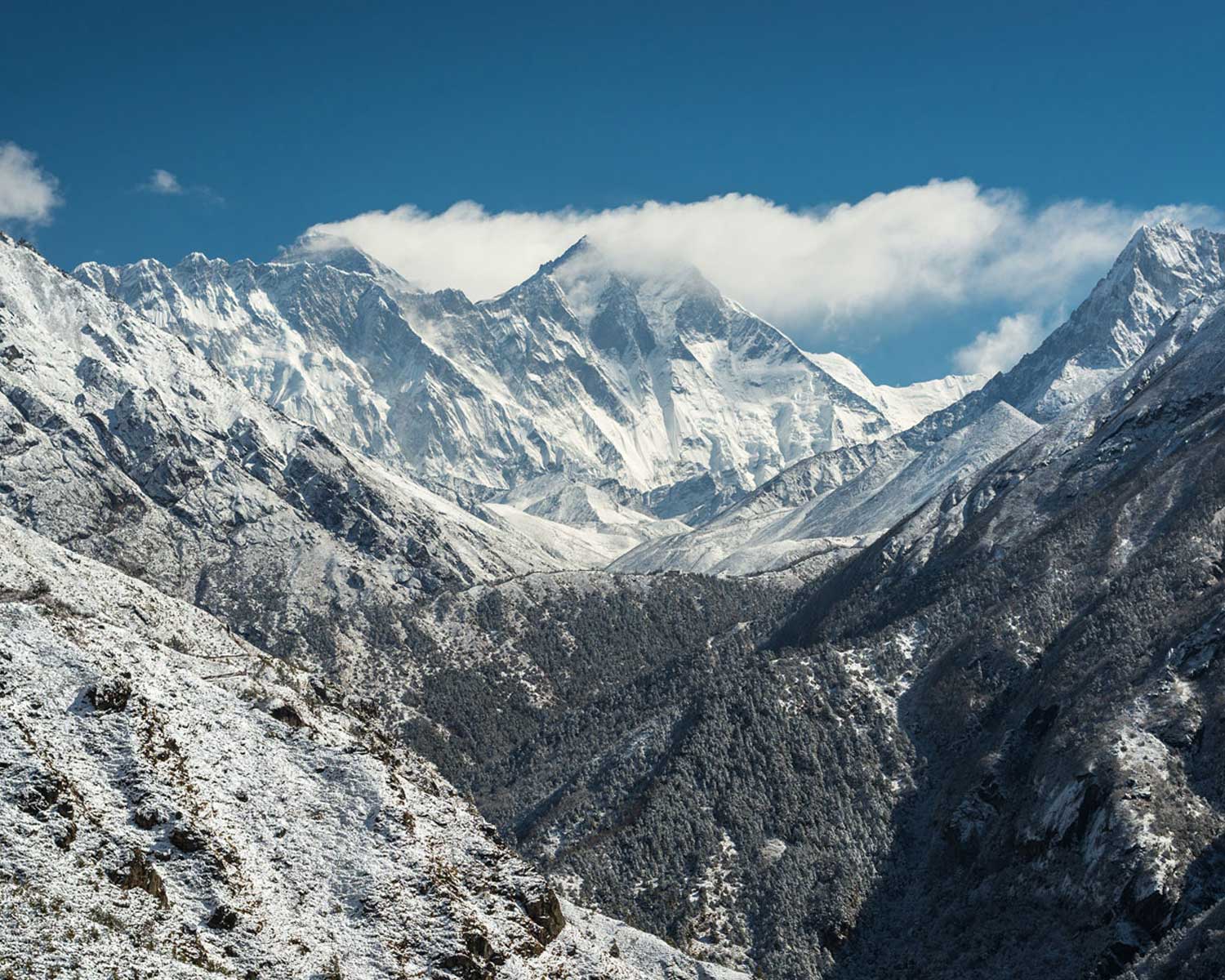 fun-facts – Experts Classroom